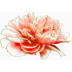 粉红牡丹
