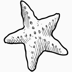 手绘海星png