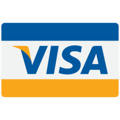 业务购买卡现金结帐信用捐赠金融金融支付付款签证付款方式