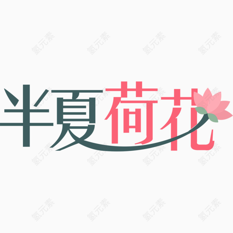 半夏荷花艺术字排版