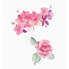 清新唯美粉色玫瑰花与桃花