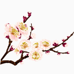 开学季 回学校 英文字 苹果装饰
