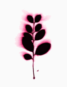 唯美元素梦幻