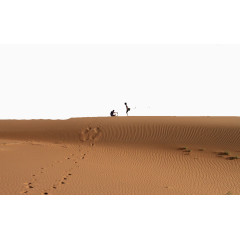 沙漠行人