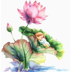 女孩莲花
