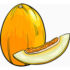 哈密瓜插画素材