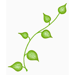 装饰元素藤蔓绿色