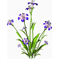 卡通装饰图片国画花卉素材