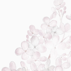 手绘淡雅花朵