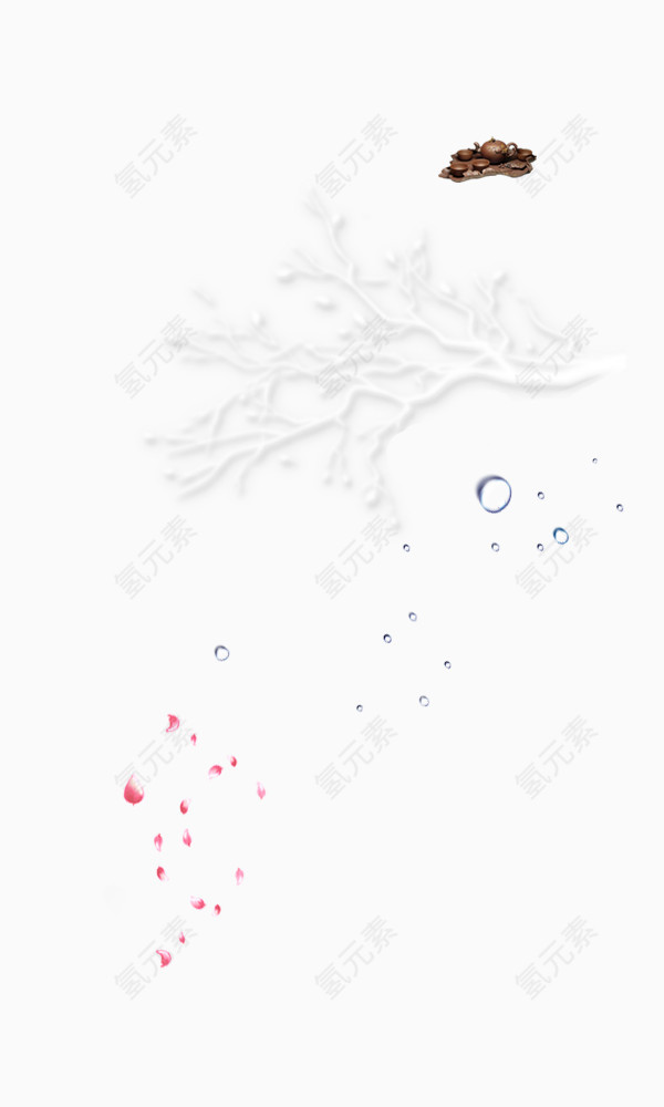 枝条