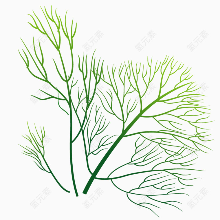 绿色树枝