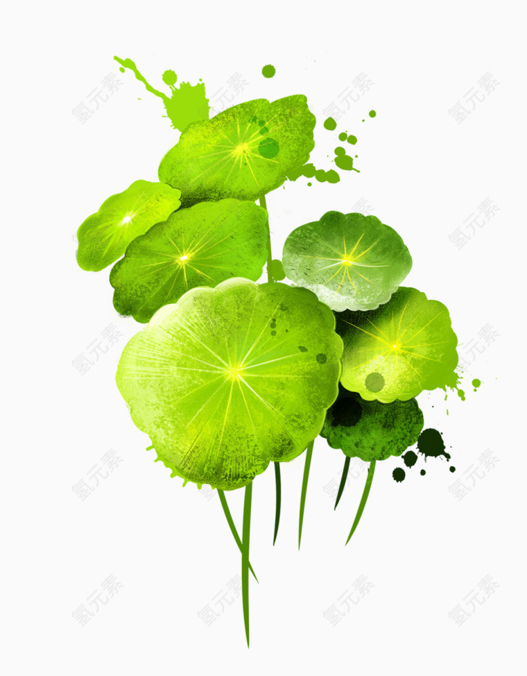 卡通手绘绿色荷叶