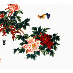 中国风工笔花鸟