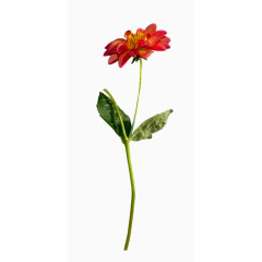 庆典花卉手绘花草素材