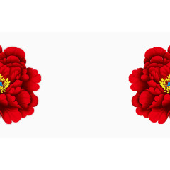 红色艳丽绚丽牡丹花