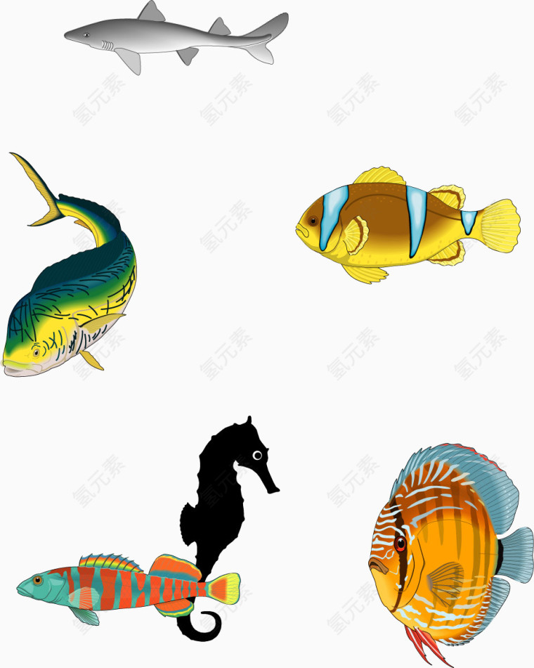 彩色海洋热带鱼