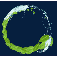 创意圆形水花绿叶