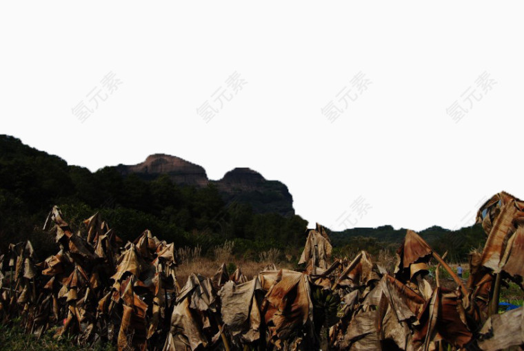 广东丹霞山风景九