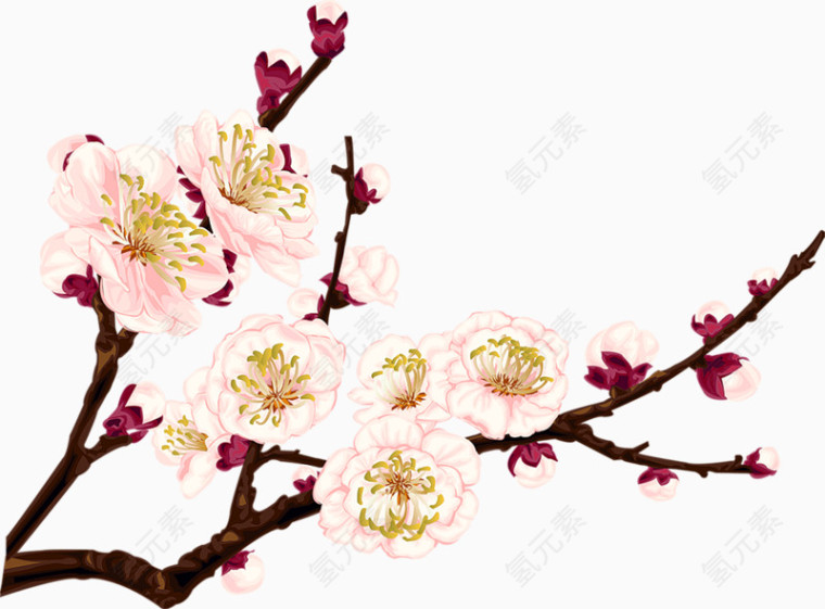 水彩花卉花卉背景素材