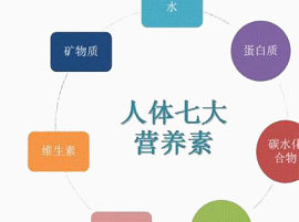 人体七大营养素