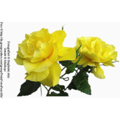 装饰图片素材卡通装饰素材