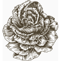 手绘花朵图片素材花朵