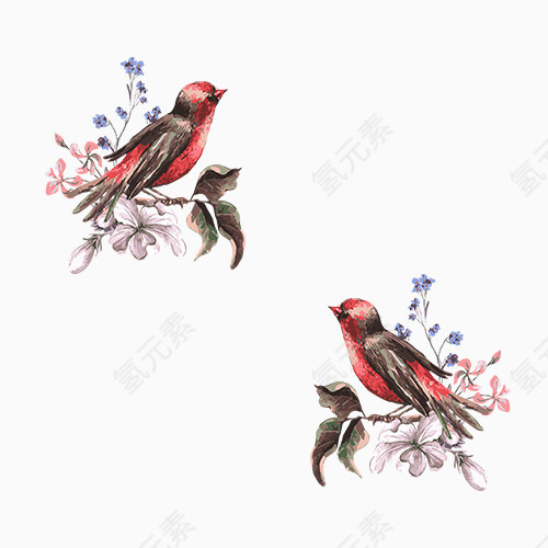 中国风小鸟