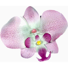 鲜花素材背景元素