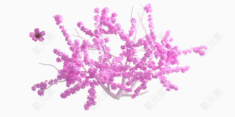 粉色桃花