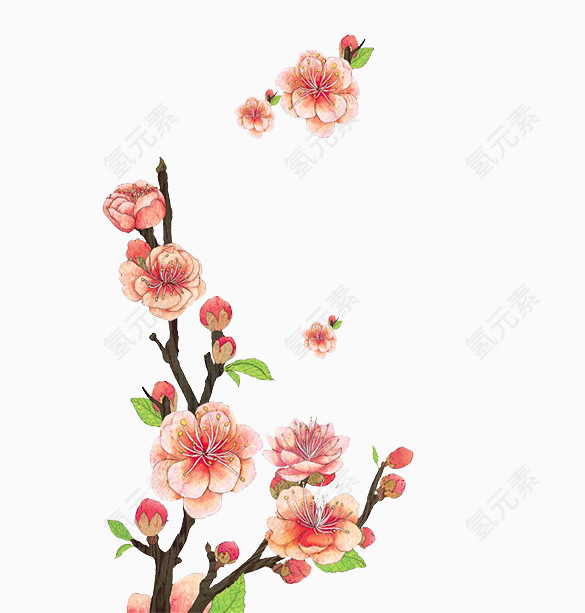 粉色桃花枝叶