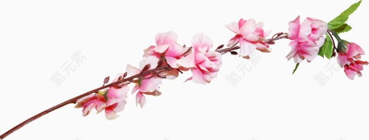 花卉图案花草画