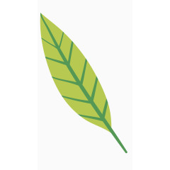 卡通手绘树叶 