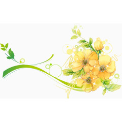 黄花花藤曼