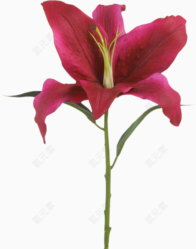花卉矢量图素材手绘花卉素材