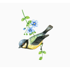 卡通精美小鸟