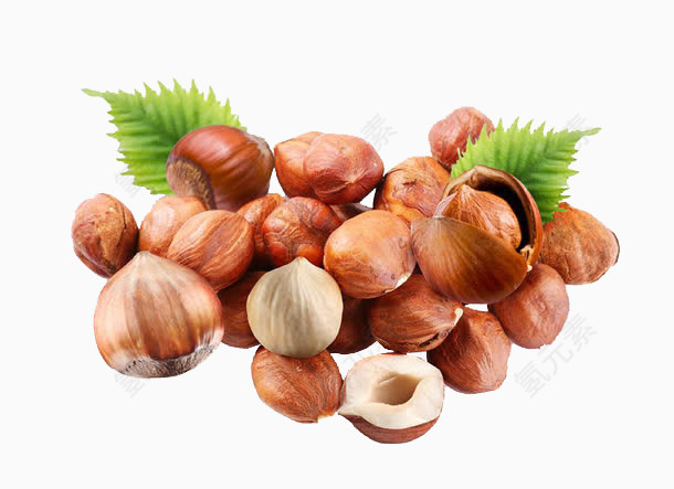 坚果