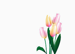 卡通手绘郁金香花的世界1