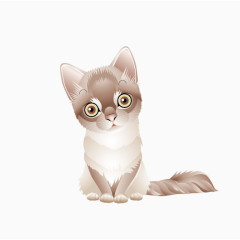 猫图片