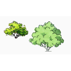 立面手绘景观树