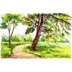 卡通大树和小路