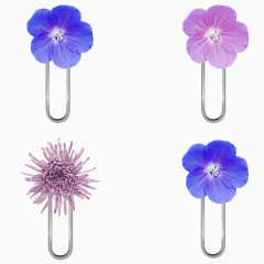 花瓣曲别针