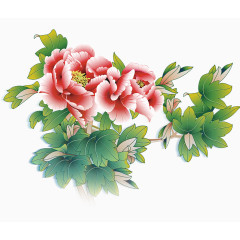 花开富贵牡丹图