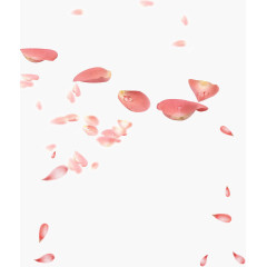 漂浮玫瑰花瓣