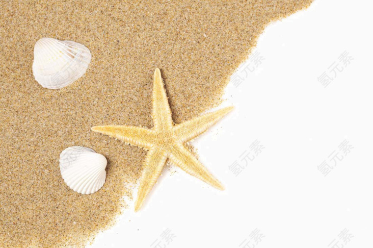 海星