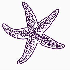 线条海星装饰卡纸