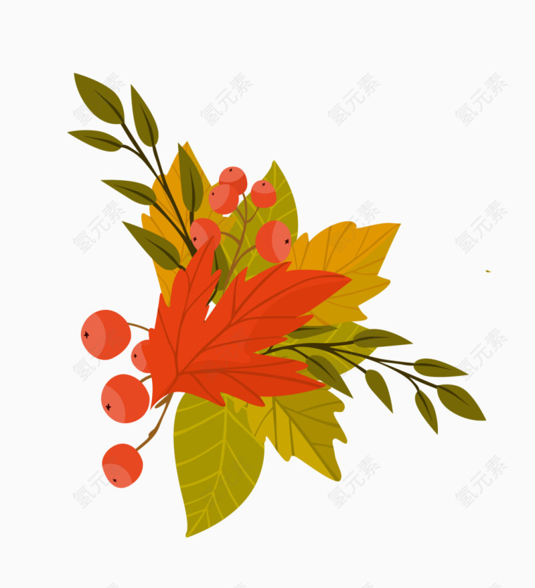 花艺边框图片