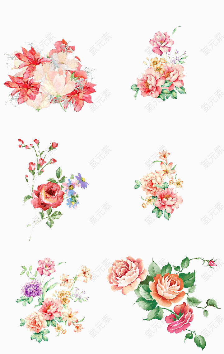 花卉水彩