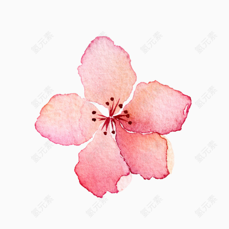 手绘花朵