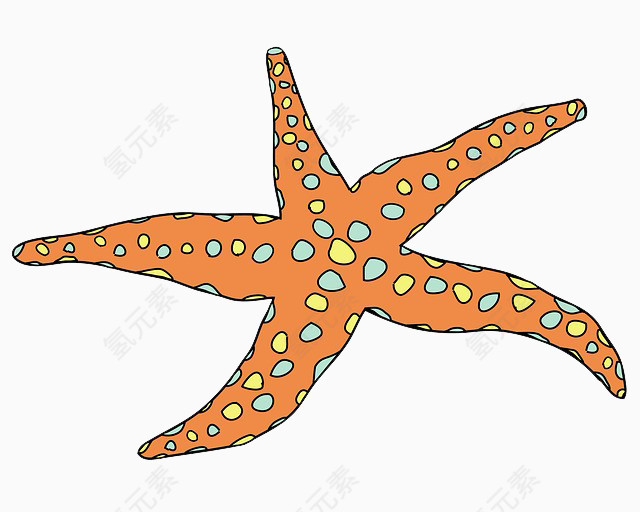 海星卡通