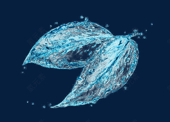水状树叶